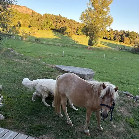 Casa di campagna Au Bord D'un étang Saint-Pierre-Eynac