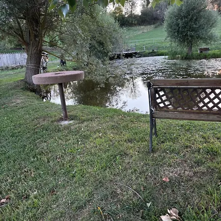 Au Bord D'un étang *