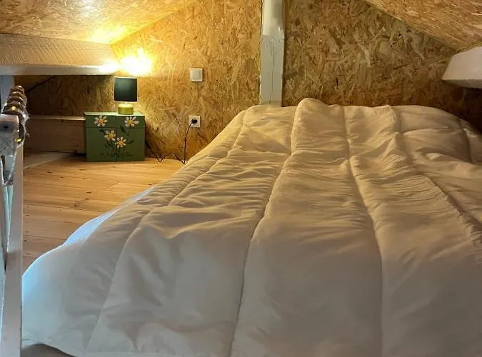 Au Bord D'un Etang Saint-Pierre-Eynac