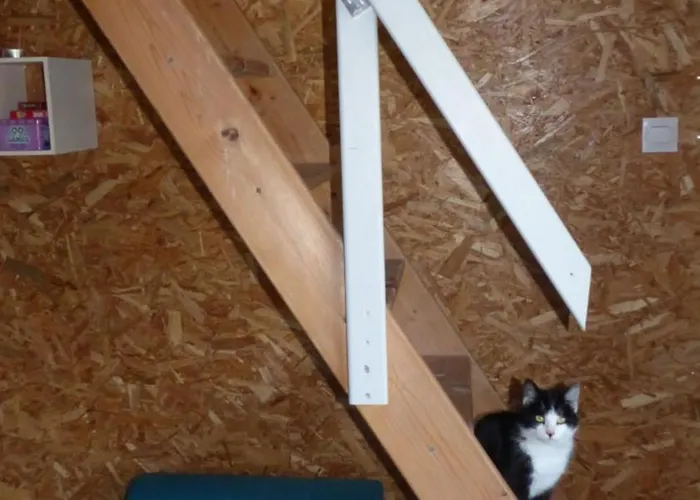 Au Bord D'un Etang Gospodarstwo wiejskie